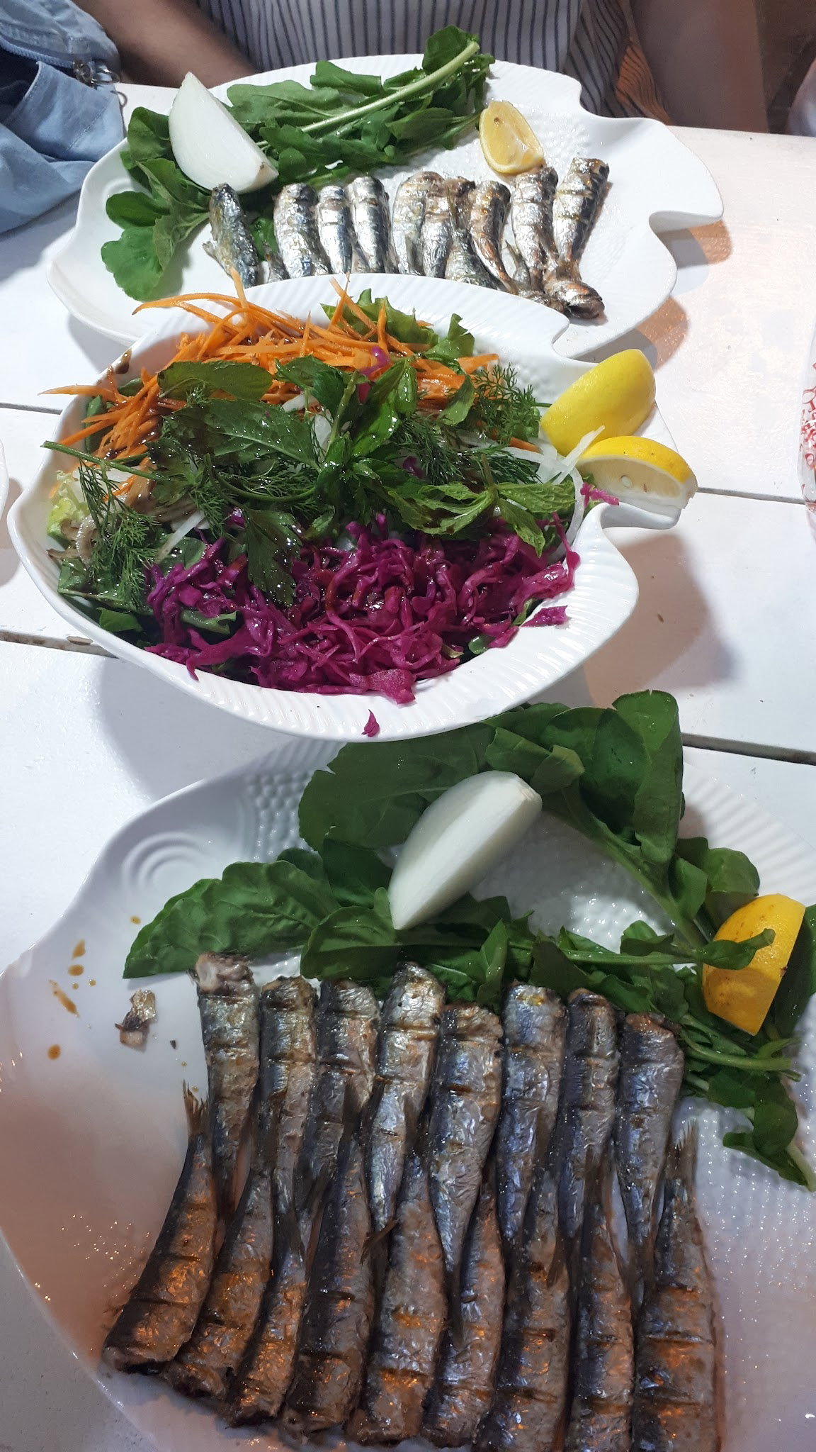 İskelet Balık