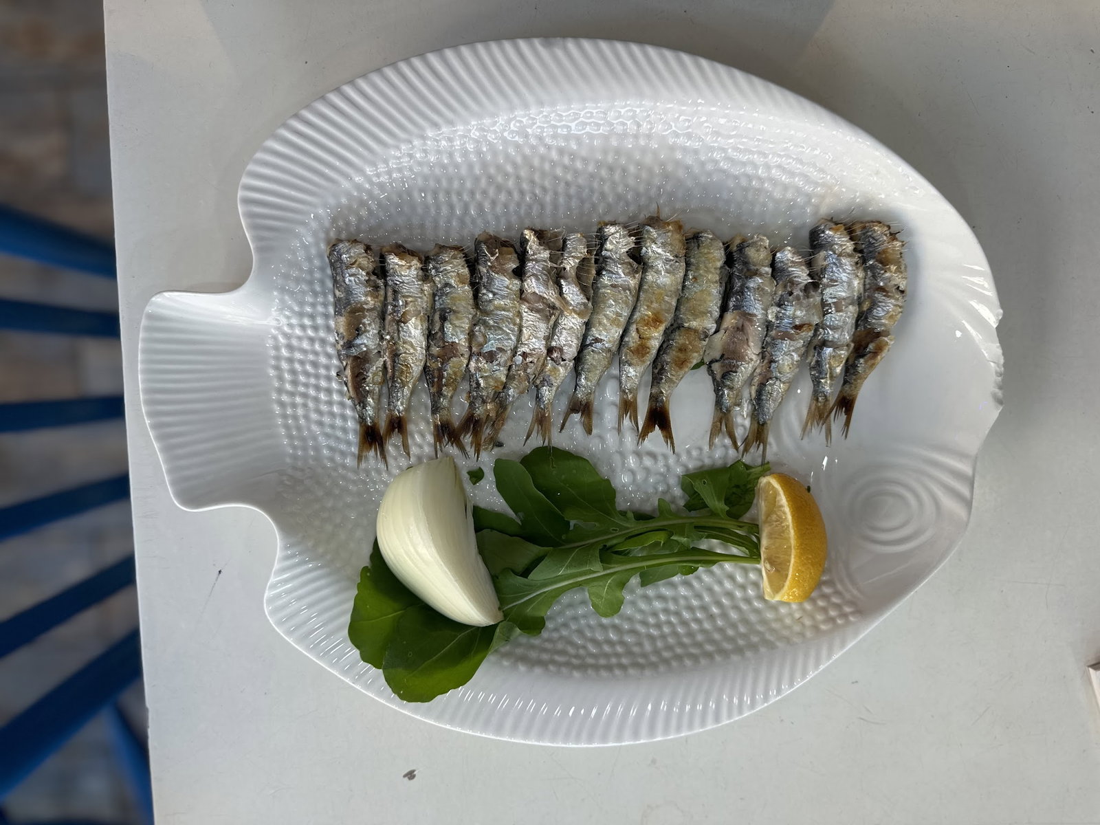 İskelet Balık