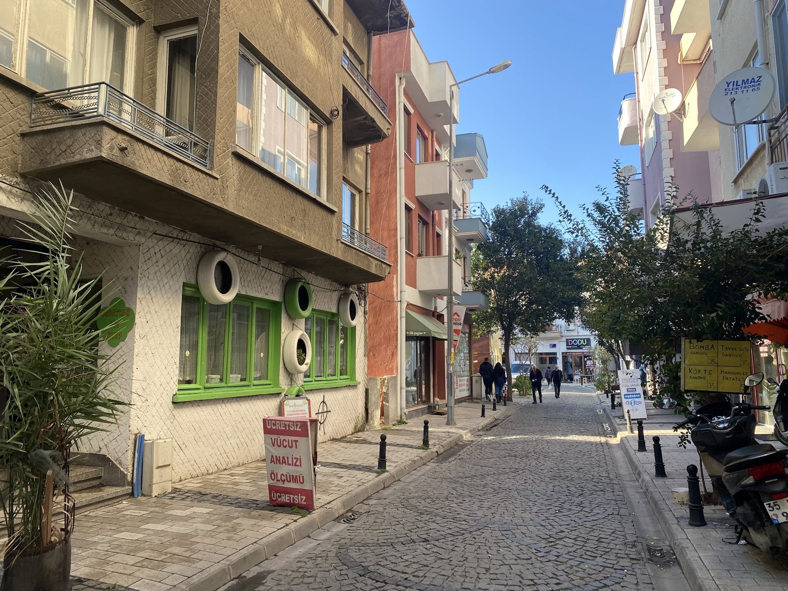 İskelet Balık