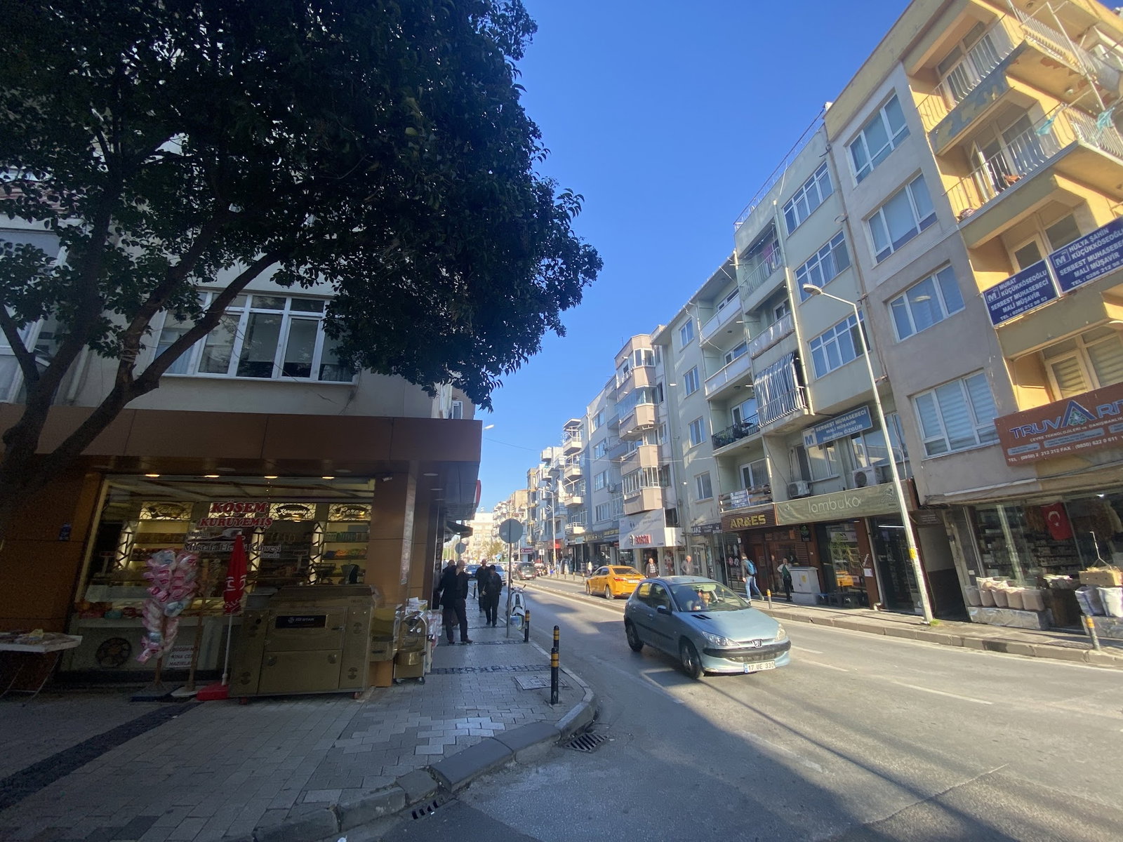 İskelet Balık