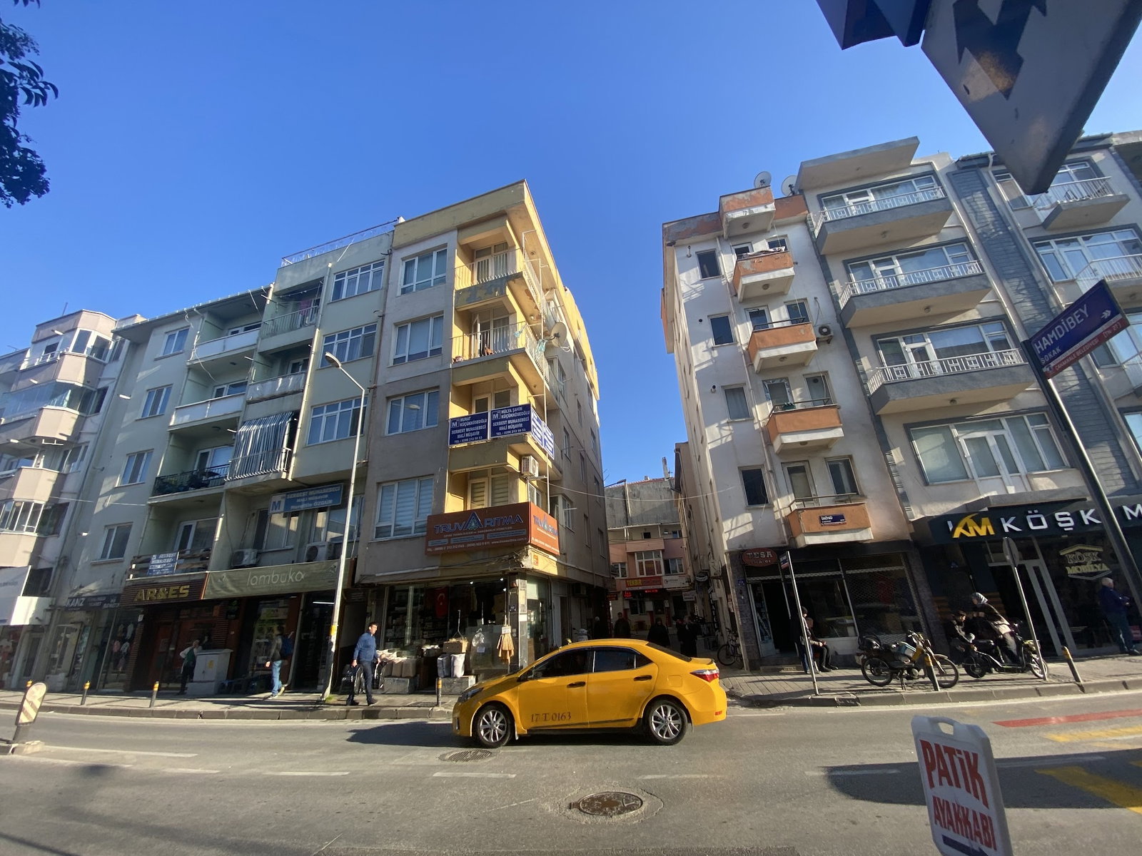 İskelet Balık