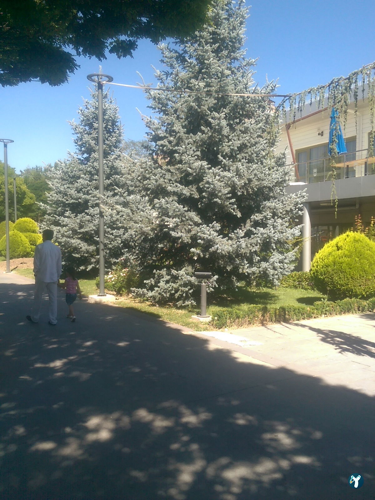 Marina Cafe - Göksu Parkı