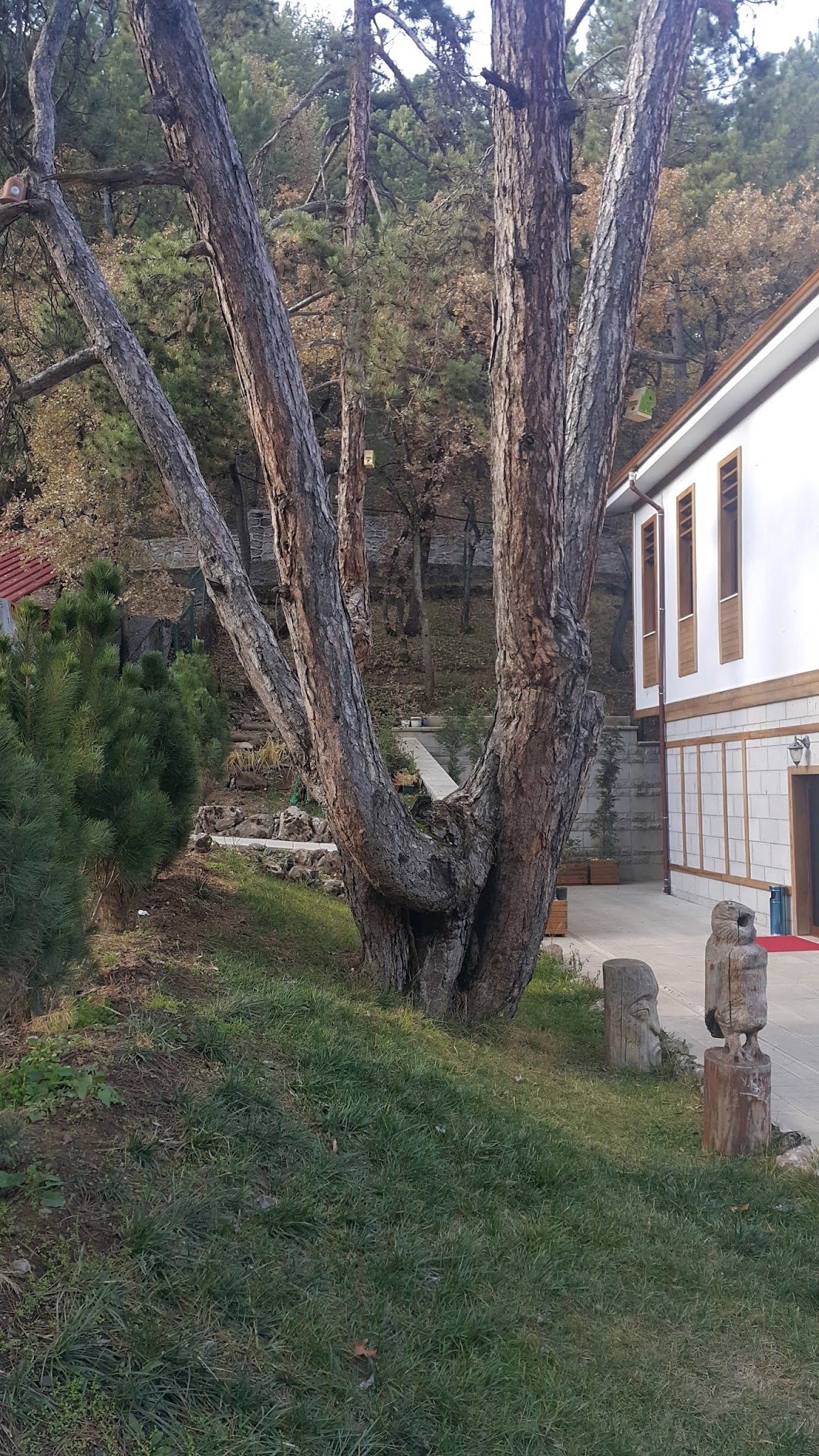 Anadolu Keyf-Et