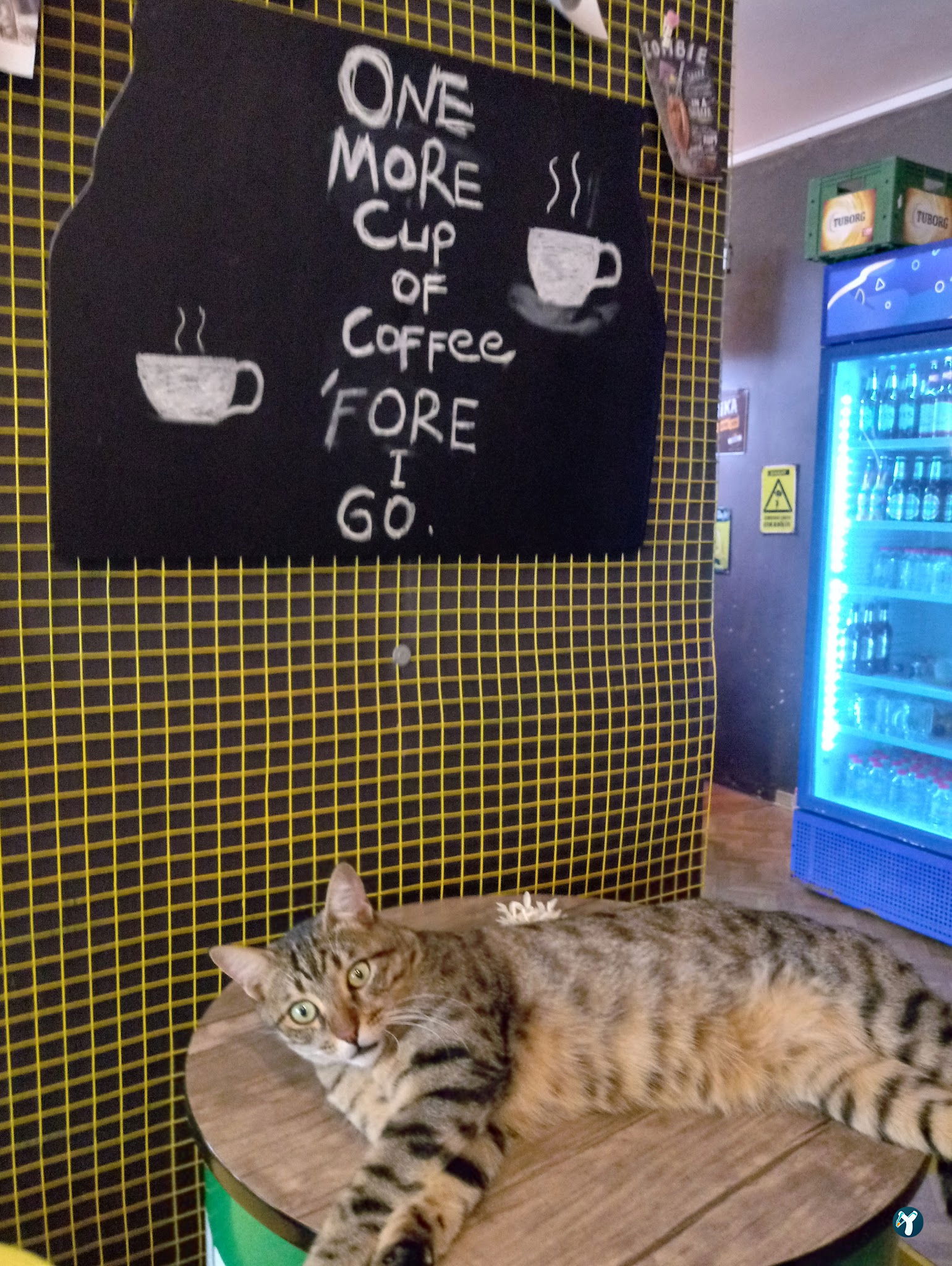 Moi Mekan