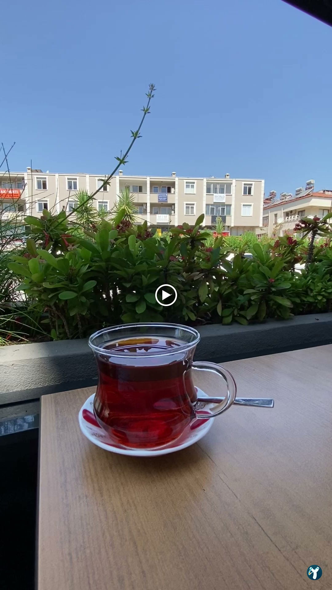 Ege Vera