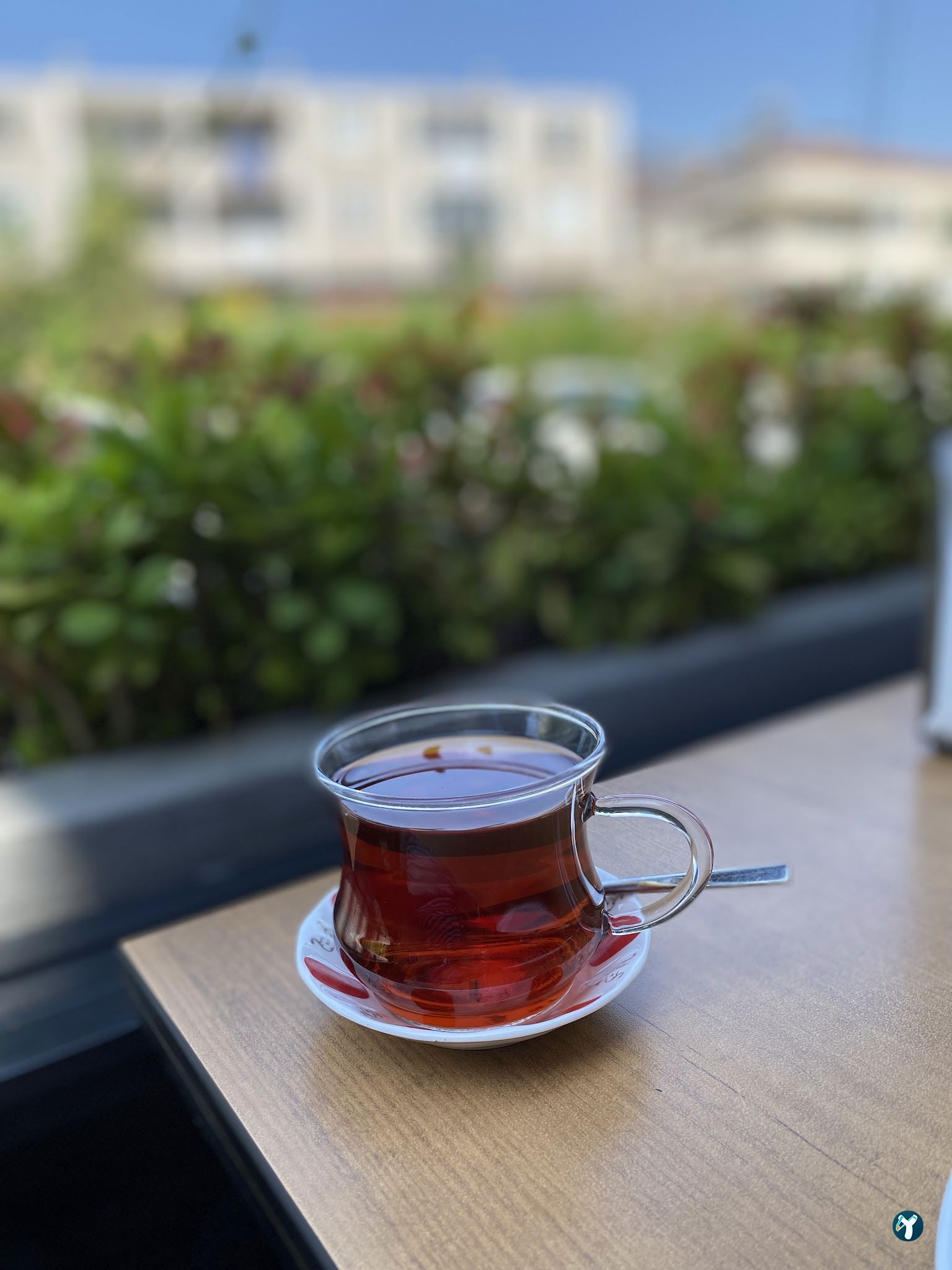 Ege Vera