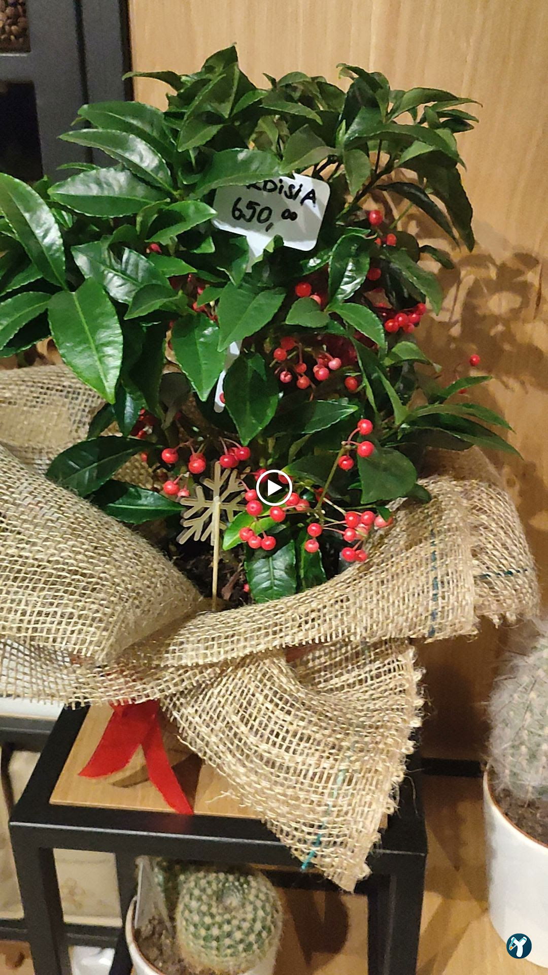 Finestra Cafe