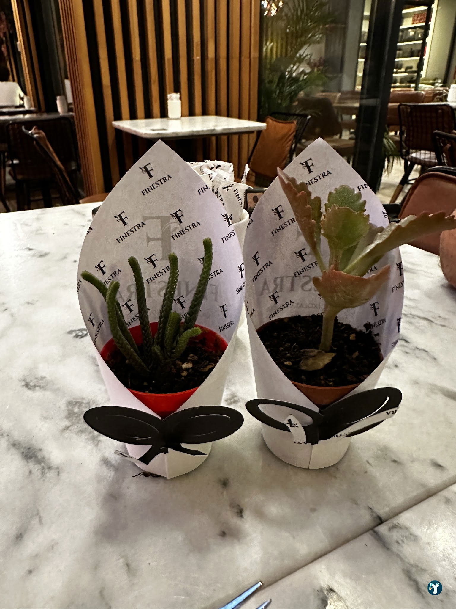 Finestra Cafe