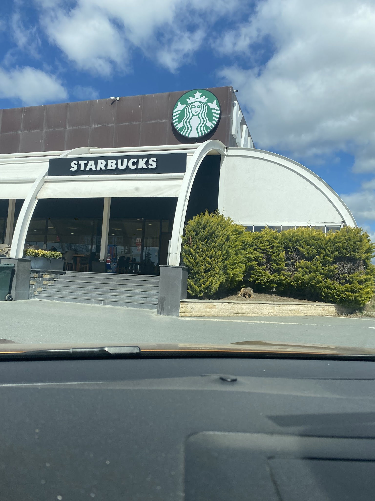 Starbucks