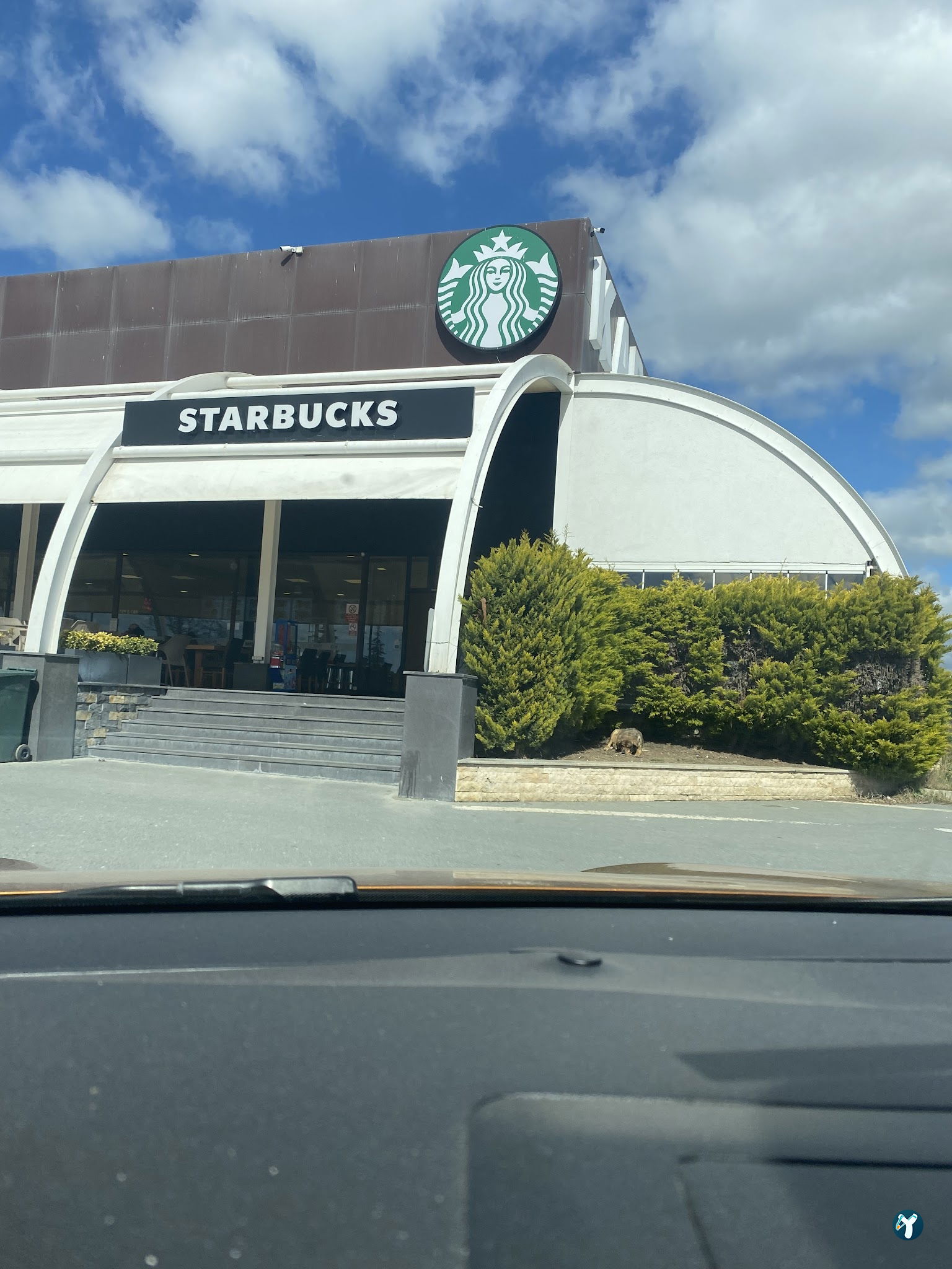 Starbucks