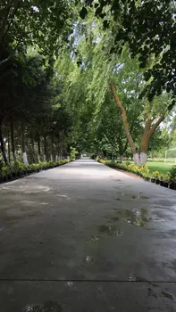 Bahçeköy Çatalca resimleri