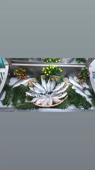 Yamas Meyhane Muğla resimleri