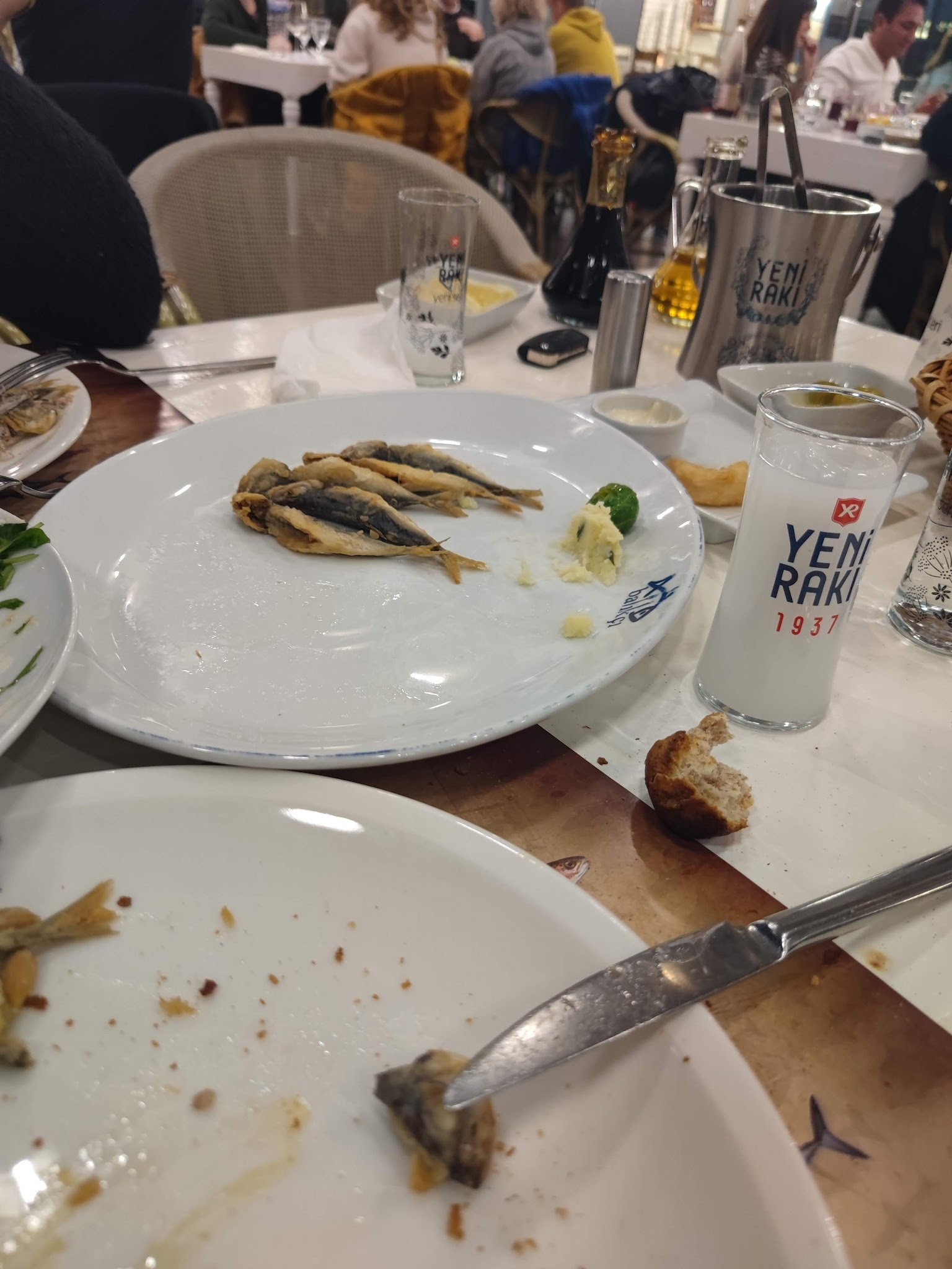 Arcadium Balıkçı Göktürk