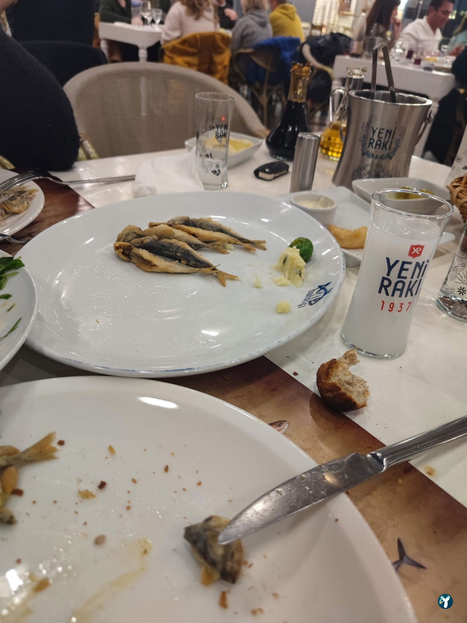 Arcadium Balıkçı Göktürk
