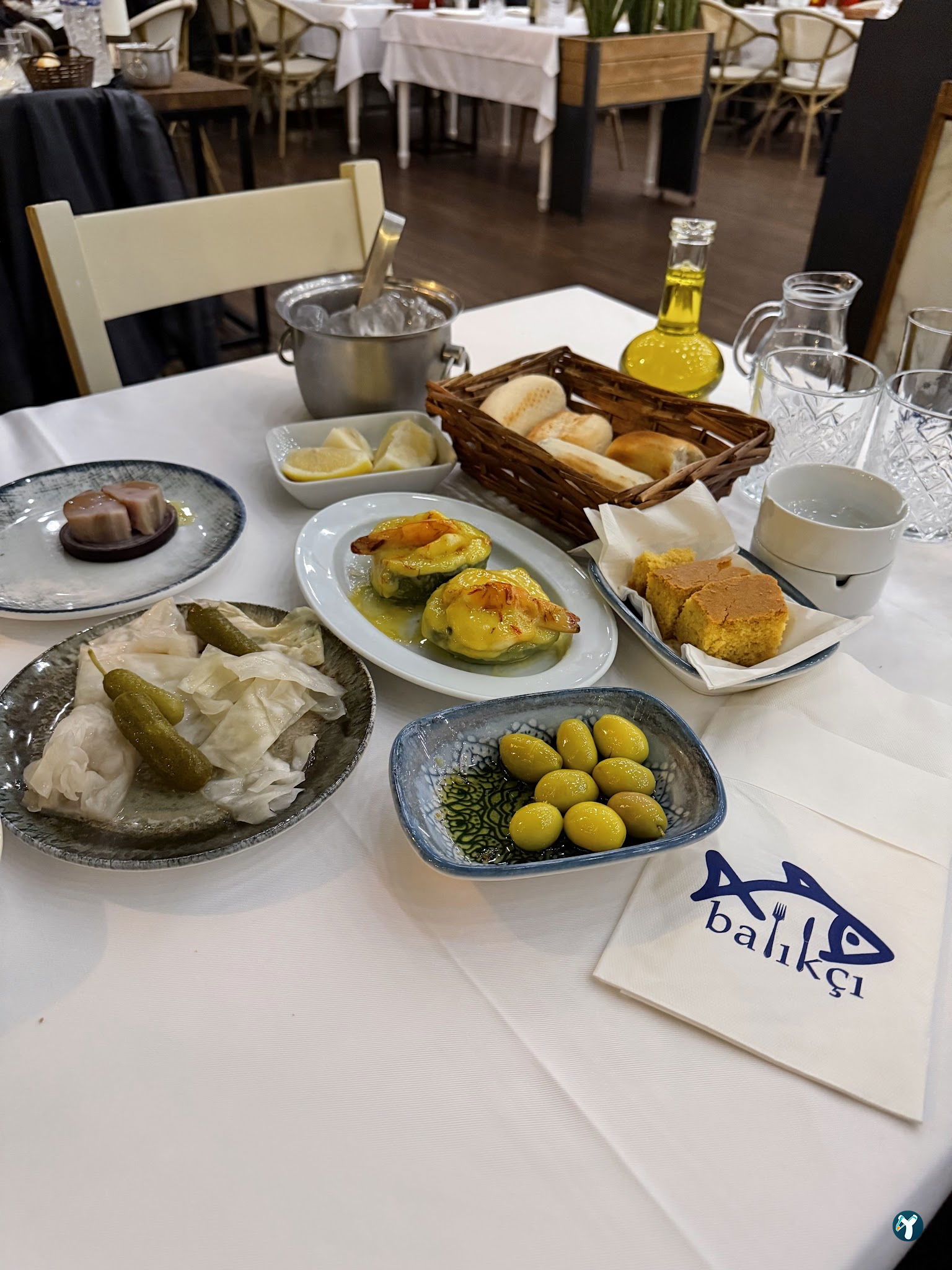 Arcadium Balıkçı Göktürk