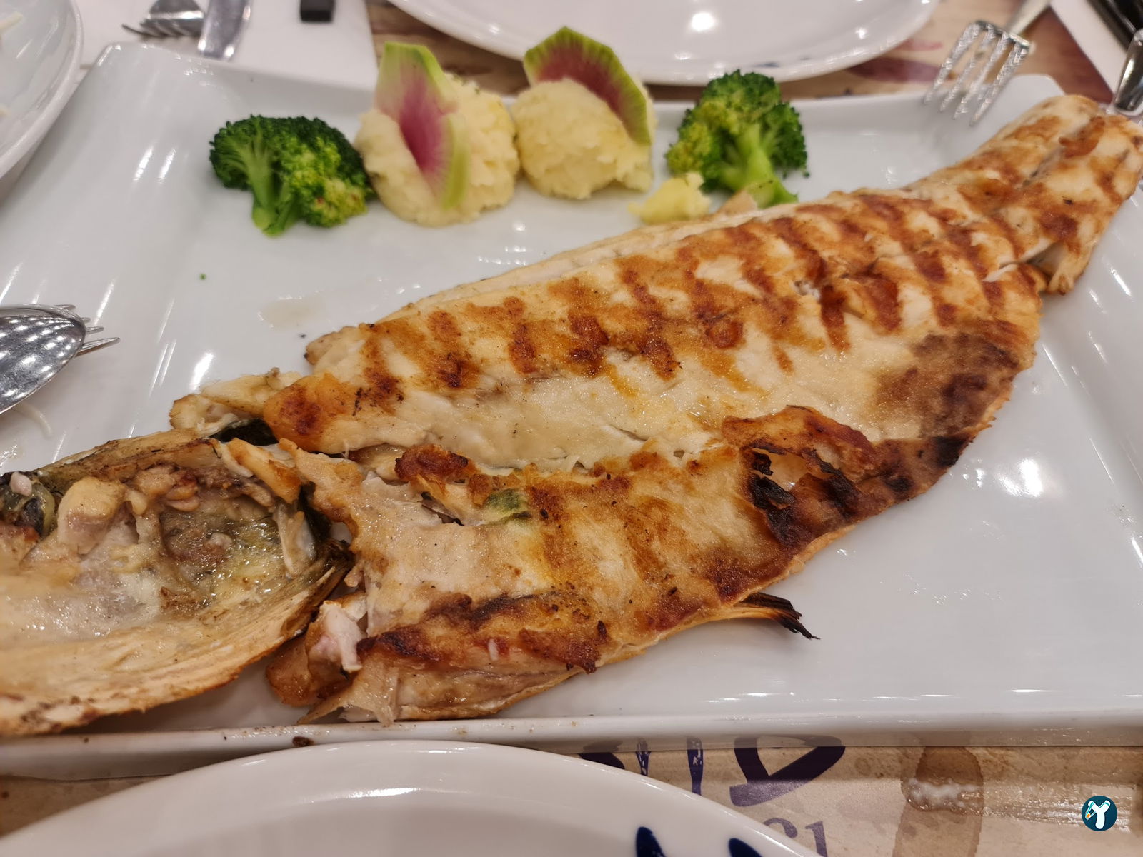 Arcadium Balıkçı Göktürk