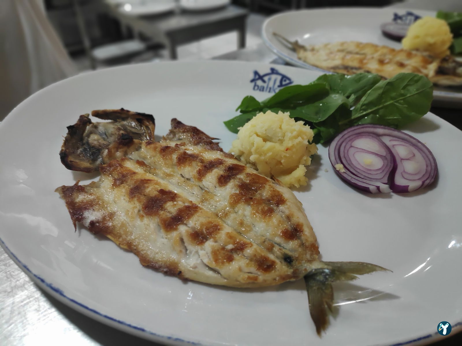 Arcadium Balıkçı Göktürk