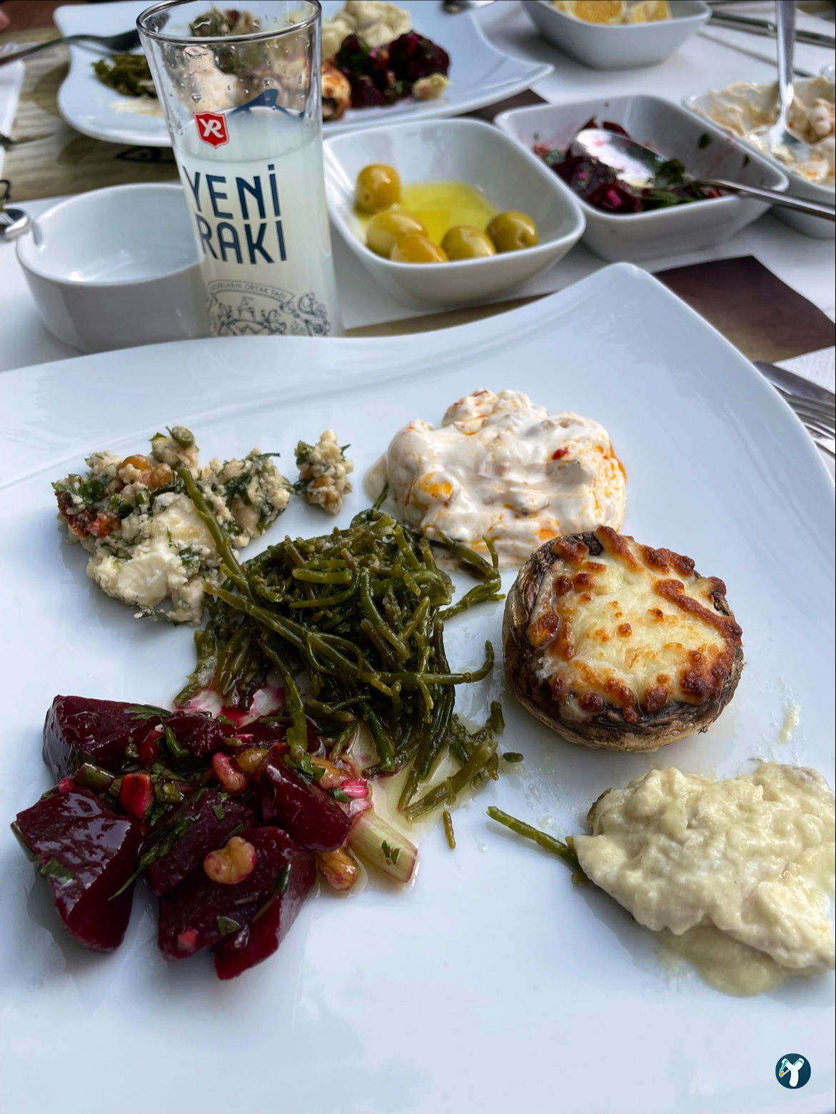 Arcadium Balıkçı Göktürk