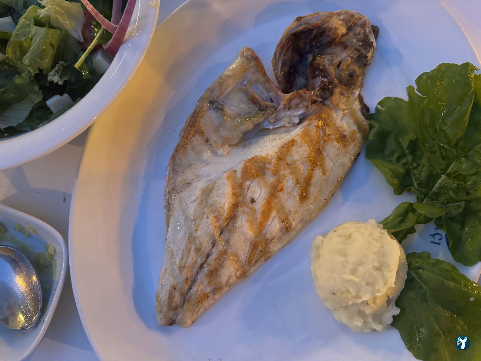 Arcadium Balıkçı Göktürk