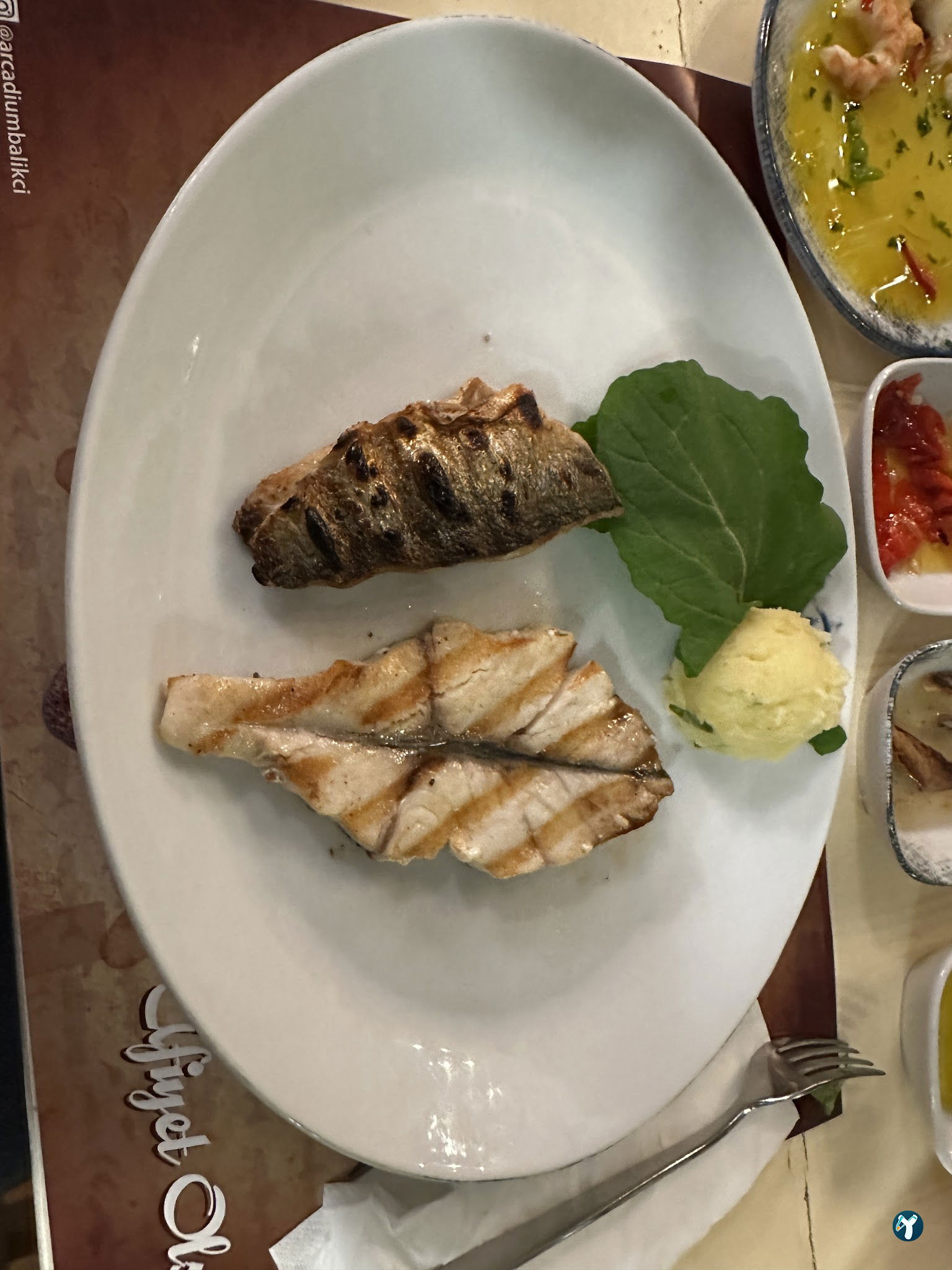 Arcadium Balıkçı Göktürk