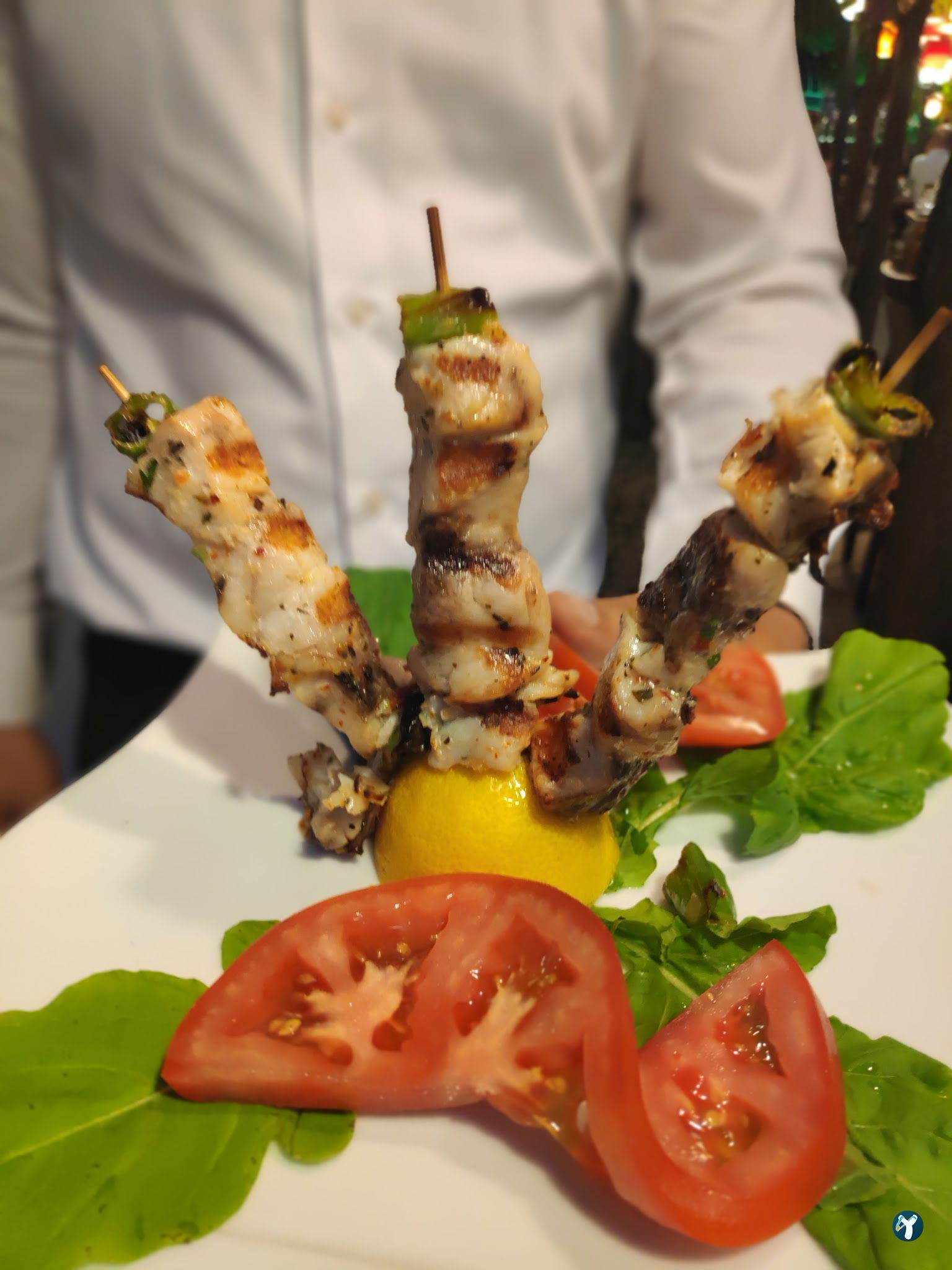 Arcadium Balıkçı Göktürk