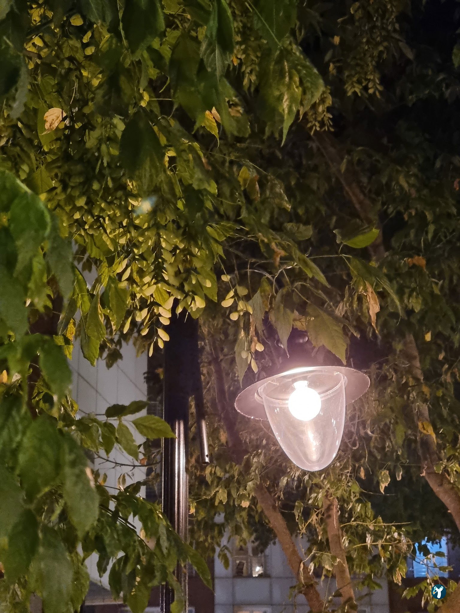 Arcadium Balıkçı Göktürk