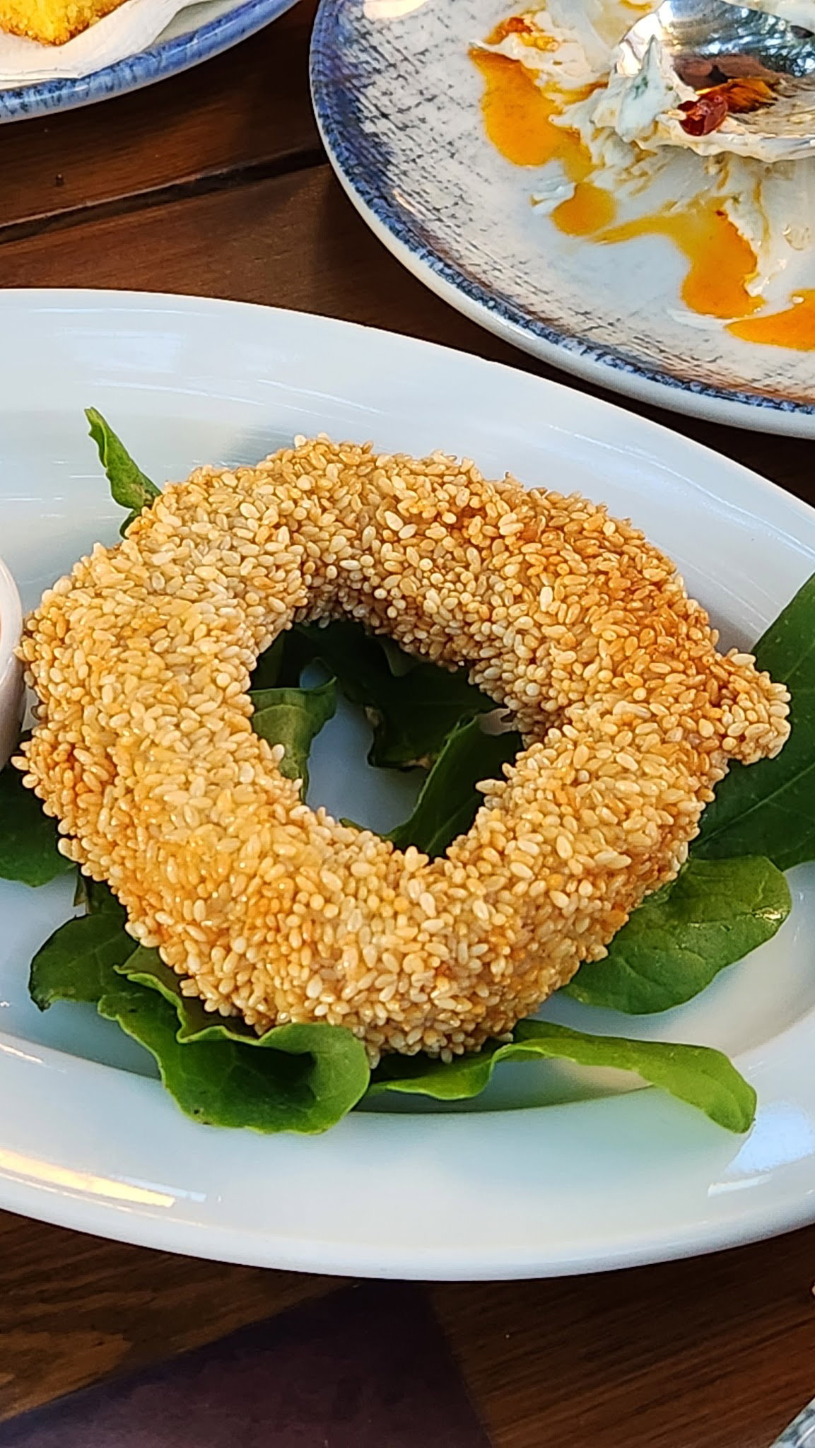 Arcadium Balıkçı Göktürk