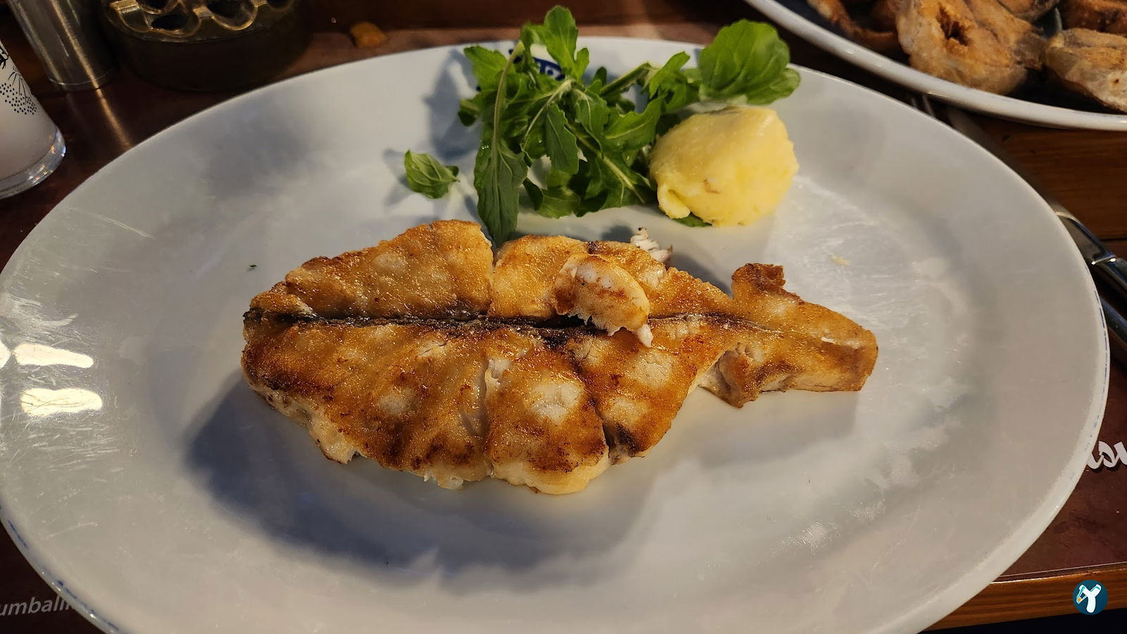 Arcadium Balıkçı Göktürk