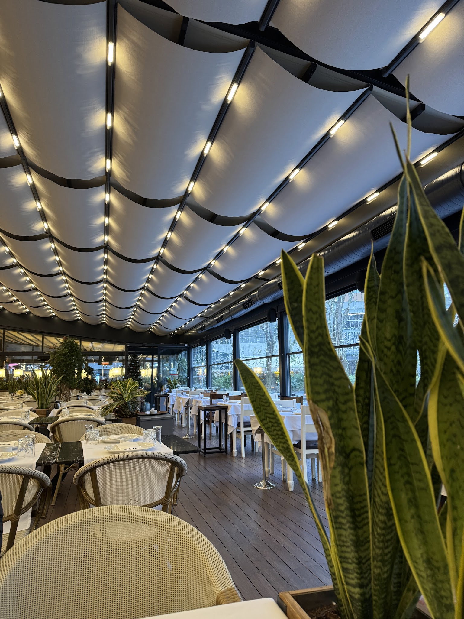 Arcadium Balıkçı Göktürk