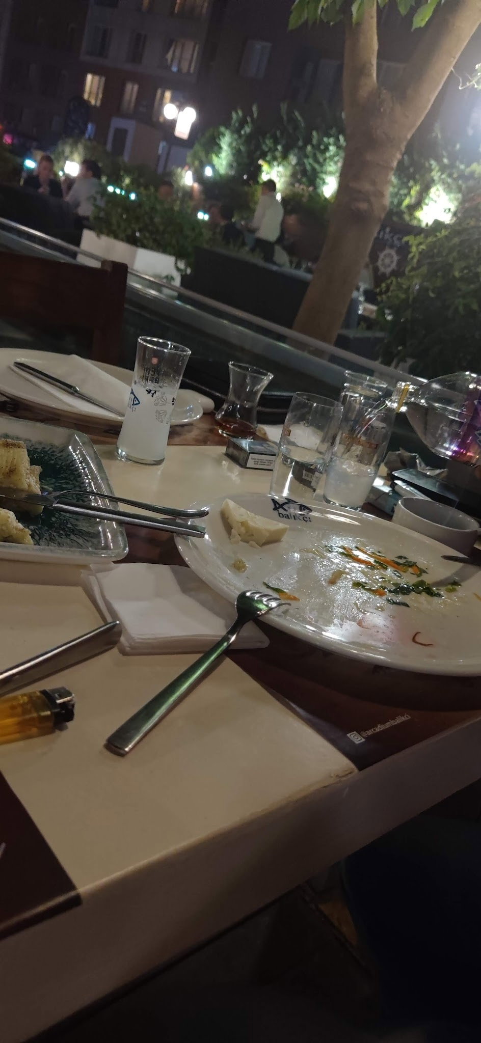 Arcadium Balıkçı Göktürk