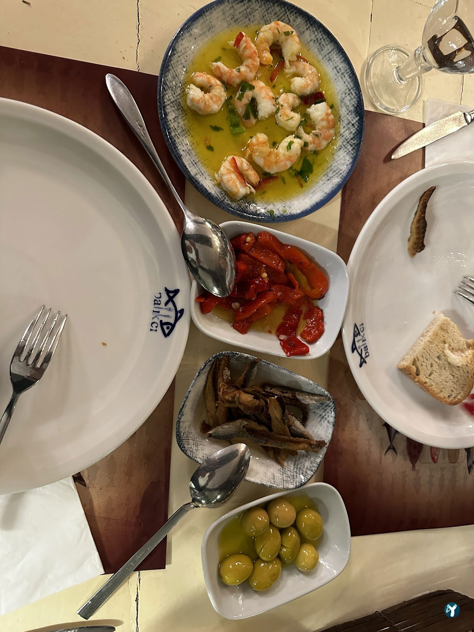 Arcadium Balıkçı Göktürk
