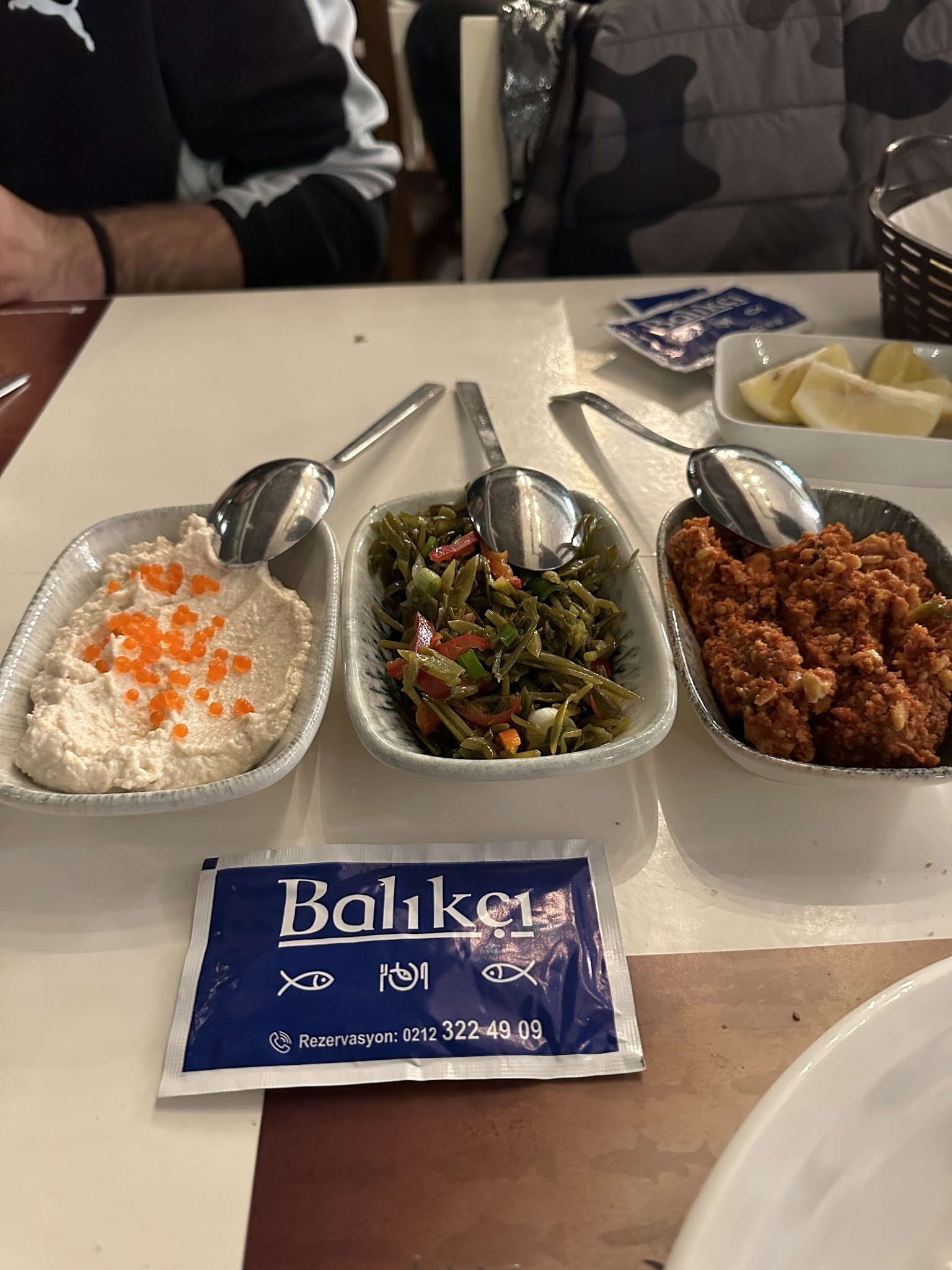 Arcadium Balıkçı Göktürk