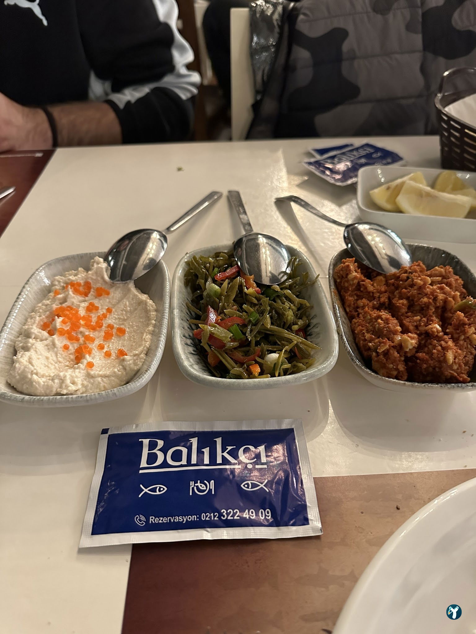 Arcadium Balıkçı Göktürk