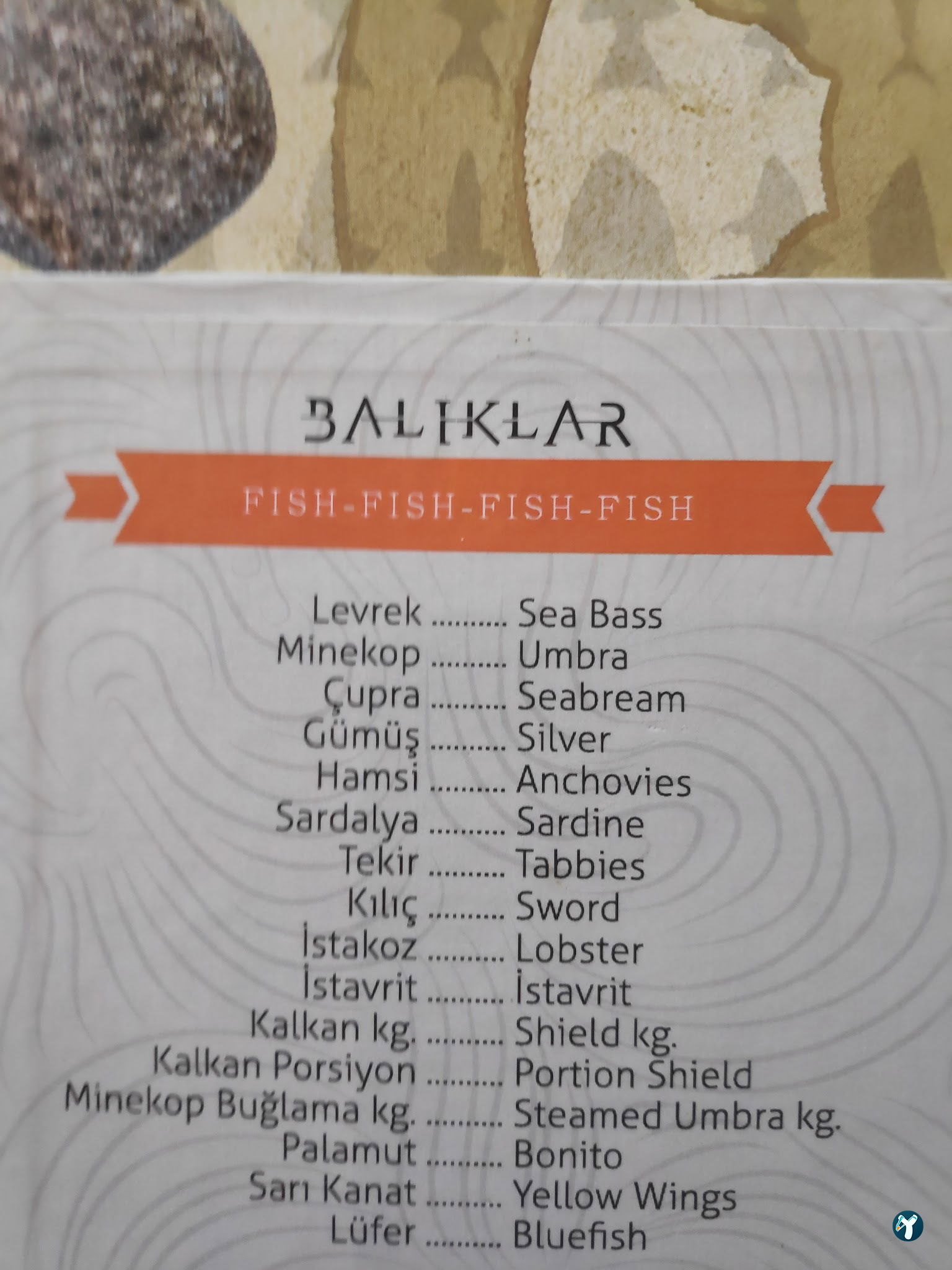 Arcadium Balıkçı Göktürk