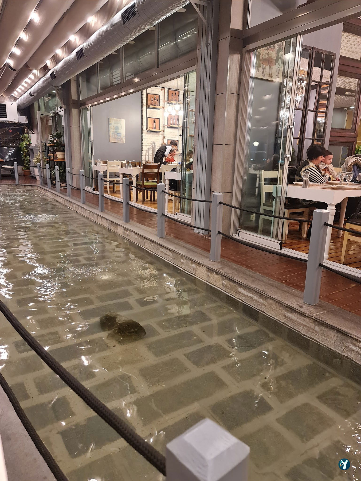 Arcadium Balıkçı Göktürk
