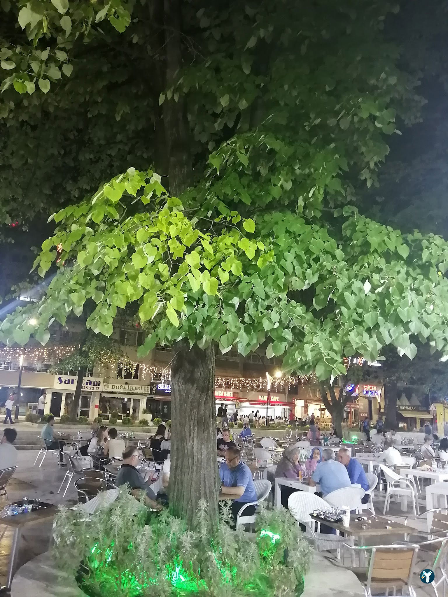 İzmit Belediyesi Yenicuma Çaybahcesi