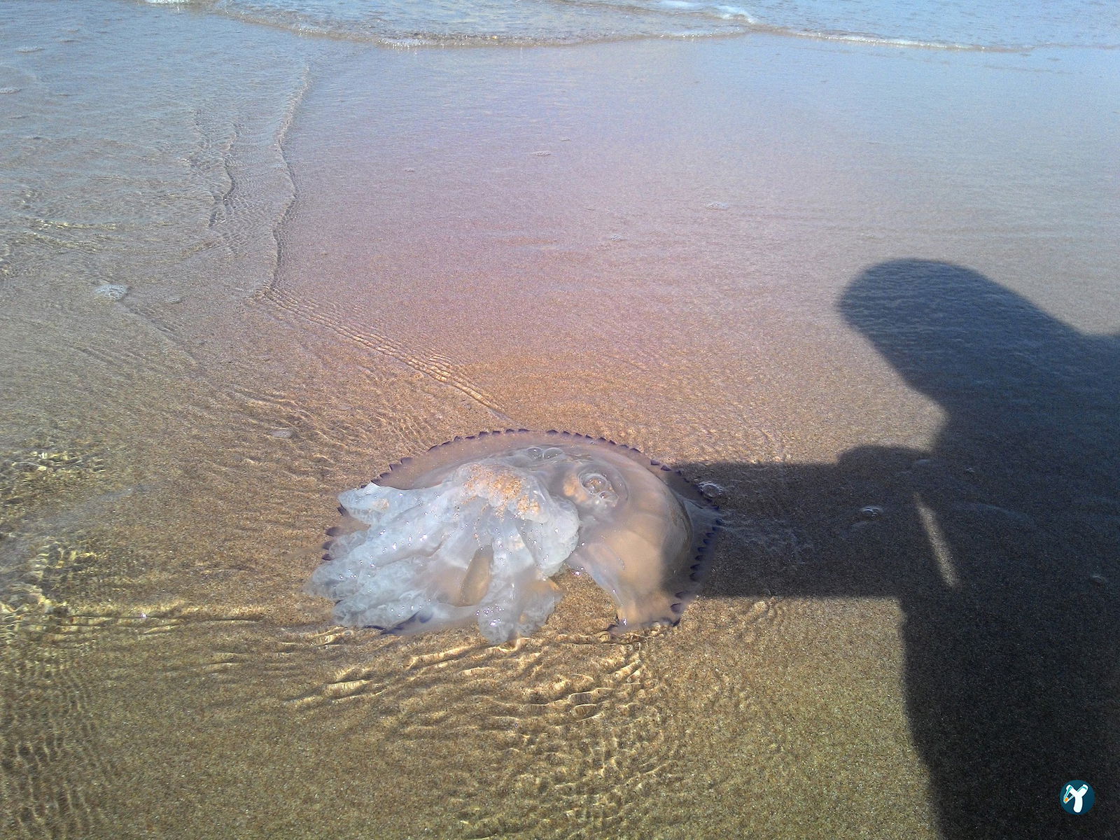 Şile Aqua Beach