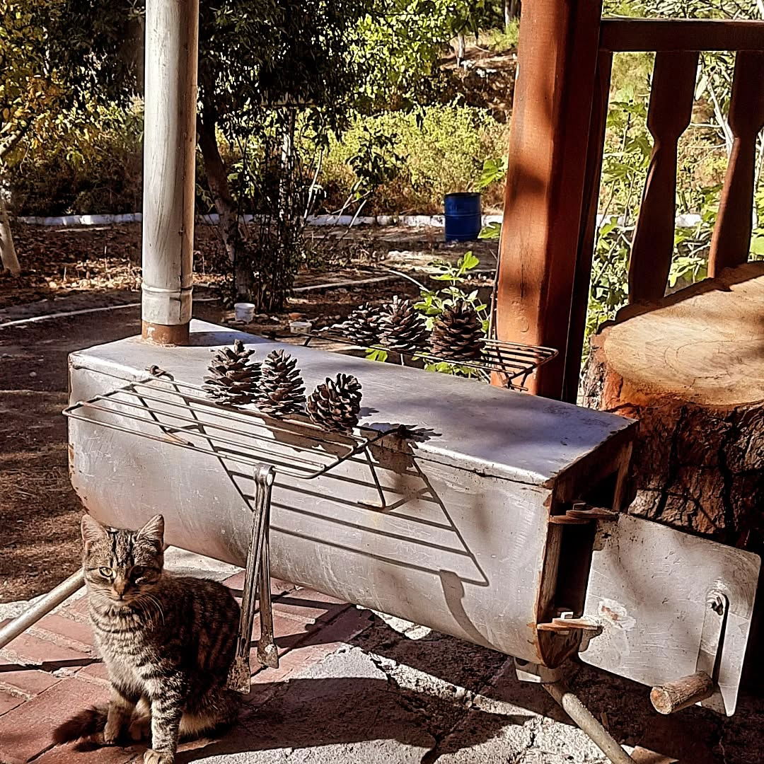 Ahmet Ozdemir Picnic Area