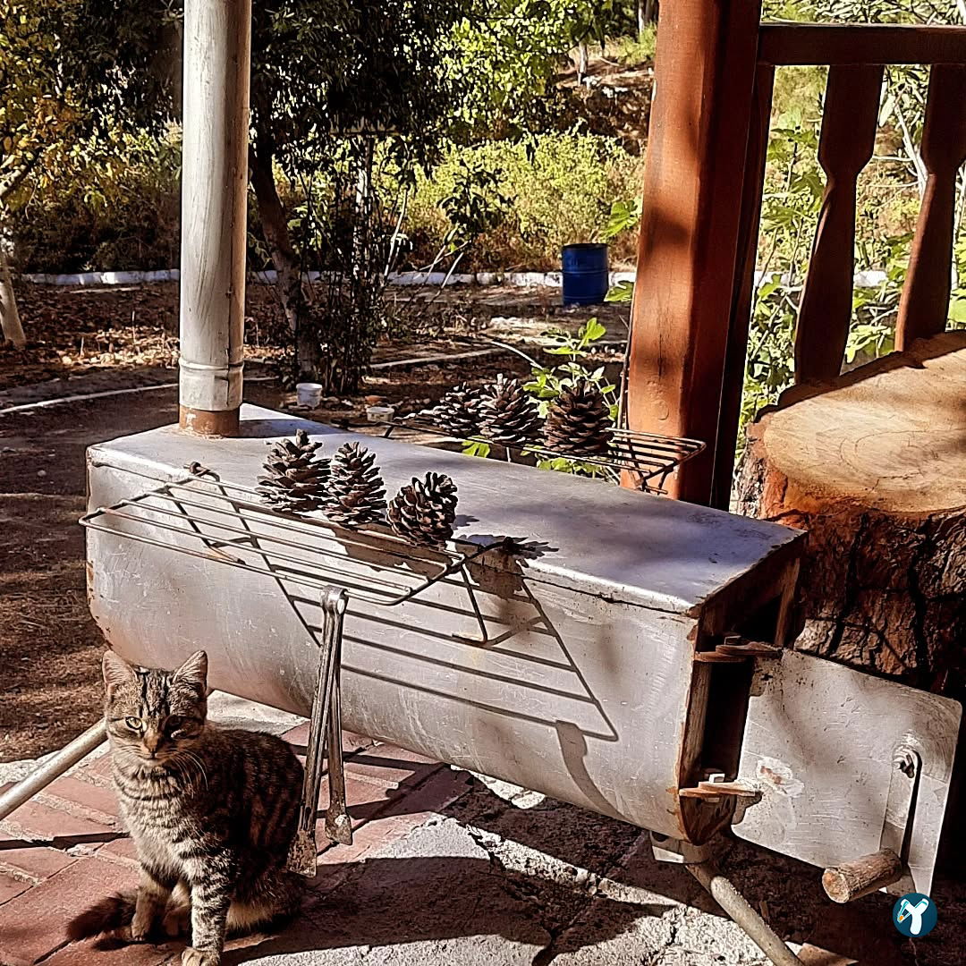 Ahmet Ozdemir Picnic Area