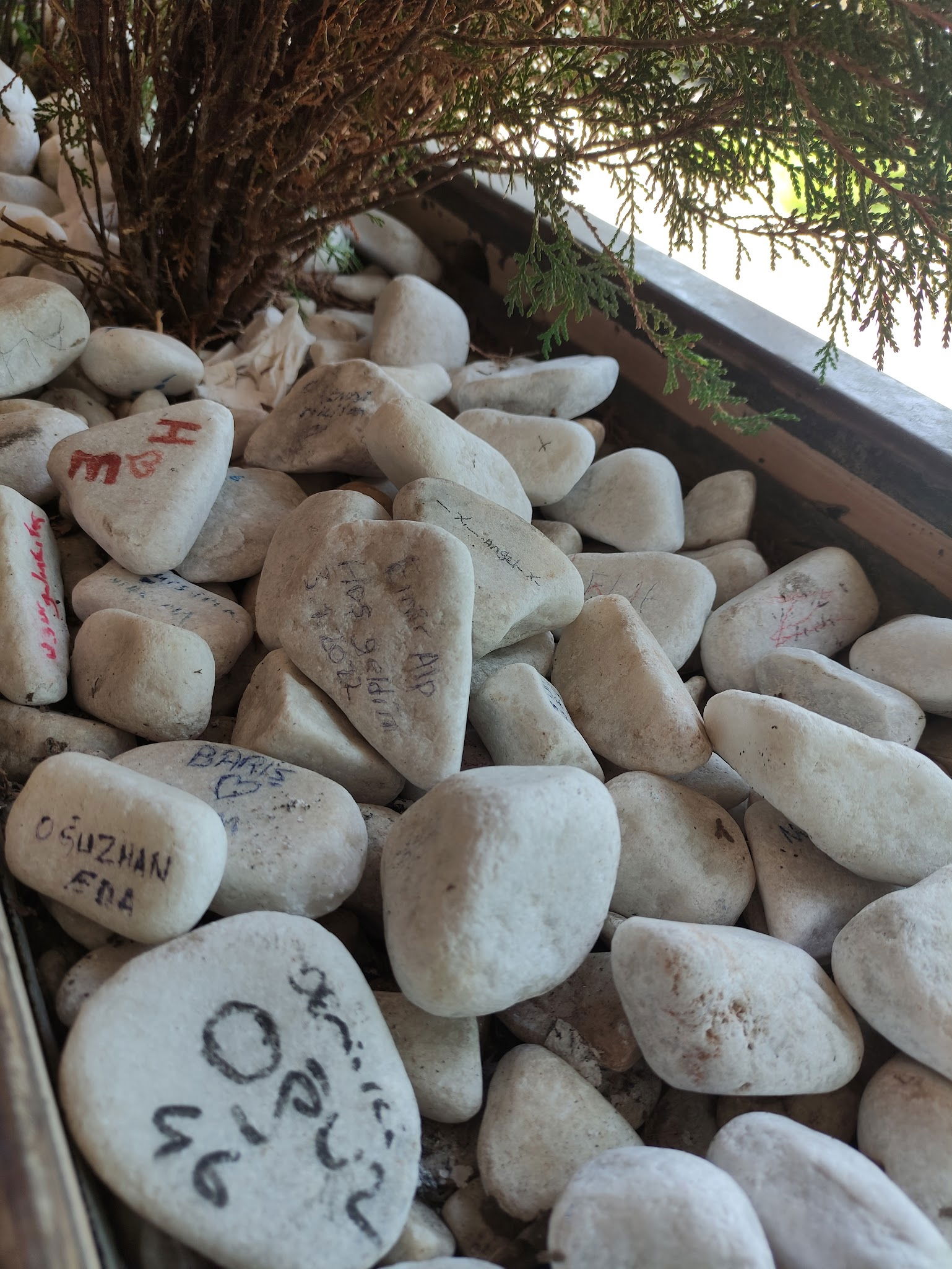 Baykuş Nargile Cafe