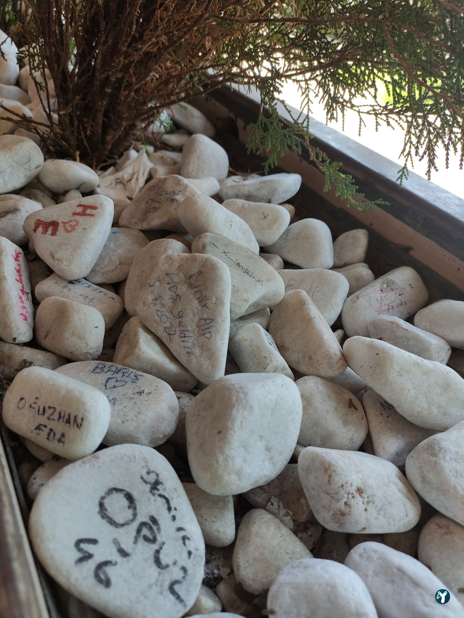 Baykuş Nargile Cafe
