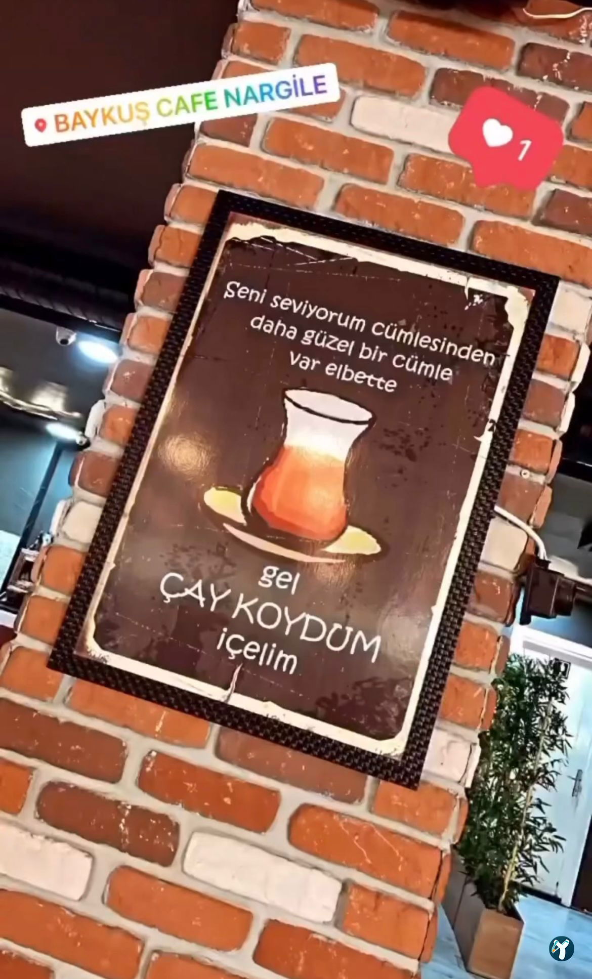 Baykuş Nargile Cafe