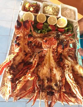 Cunda Balıkçısı Cesme resimleri