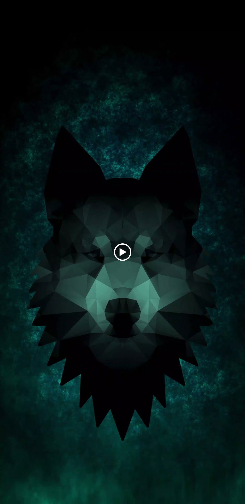 Alibaba Fasfood Cafe