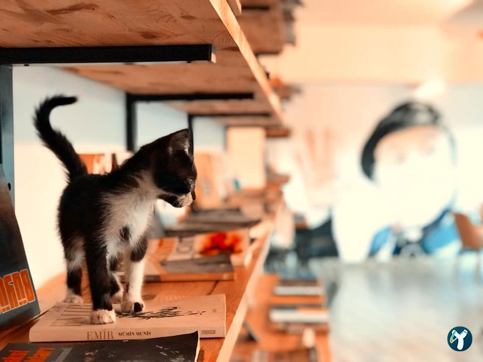 Mim Kahve Üsküdar