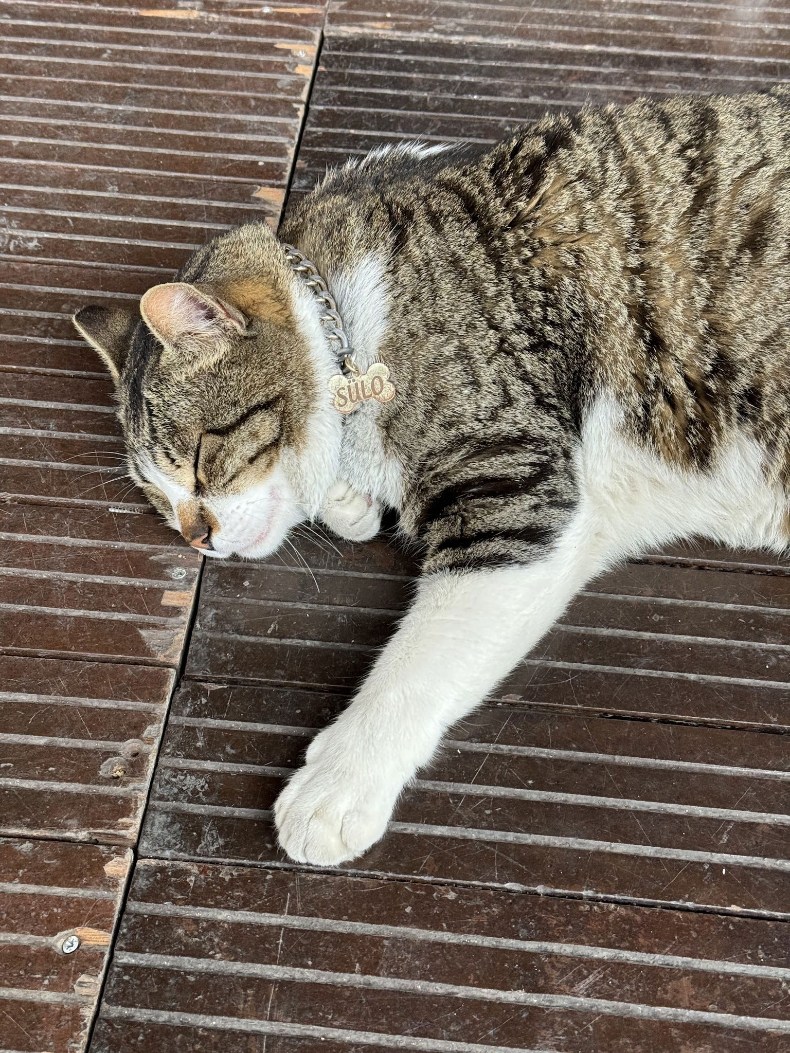 Dervis Cafe & Restaurant