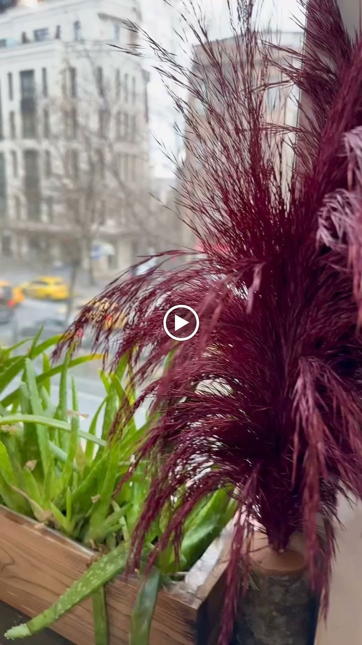 Van Ahtamara Beyoğlu Kahvalti Evi̇ (Turkish Breakfast - Турецкий Завтрак)