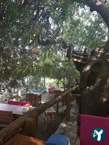 Halabağı Kahvaltı Bahçesi