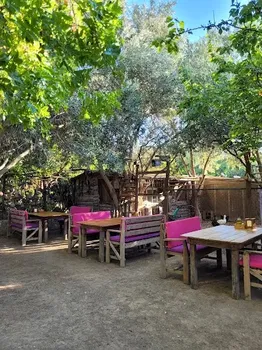 Halabağı Kahvaltı Bahçesi resimleri
