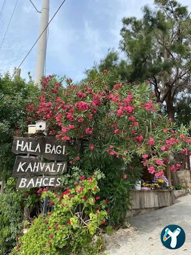 Halabağı Kahvaltı Bahçesi